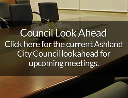 Council Look Ahead