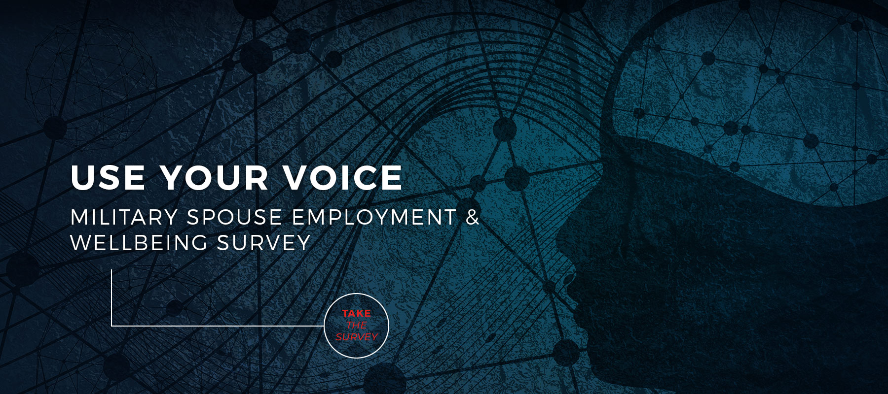 2020-milspouse-survey